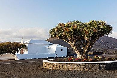 《霍格沃茨之遗》配音演员公布 西蒙·佩吉献声